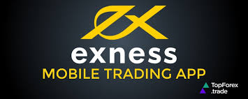 Exness For Trading - Your Comprehensive Guide Exness For Trading - Your Comprehensive Guide